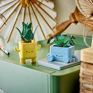 LEGO Botanicals Happy Plants Building Toys - Bedroom or Dorm Room Decor for Girls, Boys, & Adults, Desk or Shelf Display - Birthday Gift Ideas for Kids, Ages 9+ - 10349