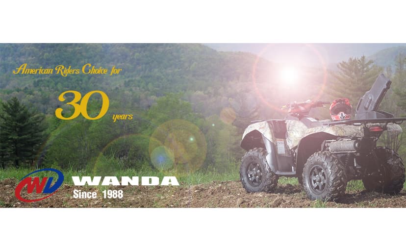 WANDA ATV/UTV Tires 25x8-12 25x8x12 6-Ply Light Mud Tires, Set 2-10243