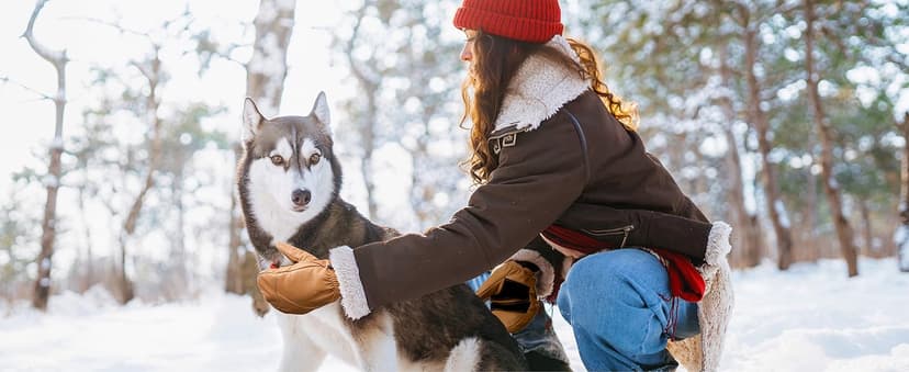 toolant Leather Ski Mittens, Winter Gifts for Men & Women, 3M Thinsulate, Waterproof & Durable for Snowboarding, Outdoors