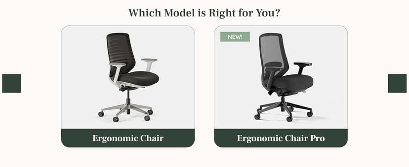 Branch Ergonomic Chair - A Versatile Desk Chair with Adjustable Lumbar Support, Breathable Mesh Backrest, and Smooth Wheels - Experience Optimal Comfort and Support - Graphite - White