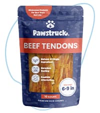 Pawstruck Large 5-6” Filled Dog Bones Variety Pack - Peanut Butter, Cheese & Bacon, Beef Flavors - Made in USA, Long Lasting Stuffed Femur Treat for Aggressive Chewers - Pack of 3, Packaging May Vary