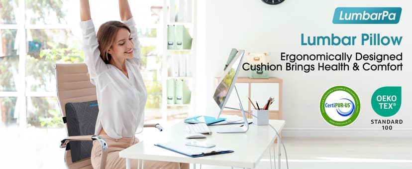 Lumbar Support Pillow for Office Chair Back Support Lumbar Pillow for Car, Gaming, Office Chair - Improve Sitting Posture & Back Pain Relief, Memory Foam, Adjustable Straps, Grey