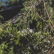 Ameristep Brickhouse Hunting Blind | 3-Person Ground Blind in Mossy Oak Break-Up Country, One Size