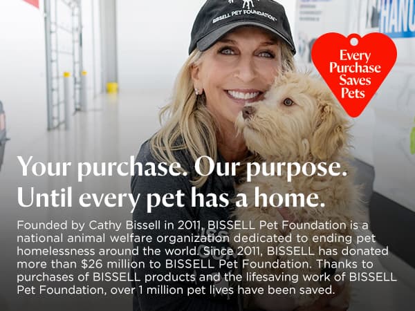 BISSELL Little Green Multi-Purpose Portable Carpet and Upholstery Cleaner, Car and Auto Detailer, with Exclusive Specialty Tools, Green, 1400B