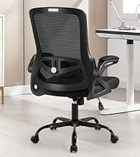Ergonomic Office Chair, Desk Chair with Adjustable Lumbar Support, Breathable Mesh Comfy Computer Chairs with Flip-up Armrests Executive Task Chair for Adults Home Office(Black)