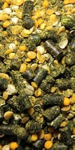 New Country Organics | Loyalty Senior Horse Pellets for Horses 15+ Years Old | Corn-Free and Soy-Free | 16% Protein | Certified Organic and Non-GMO | Nutrition for Senior Horses 40 lbs | Grain Feed