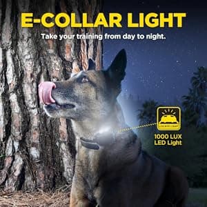 Dogtra 1900X Camouflage E-Collar - 3/4 Mile Range, Dogs 45 lbs+, IPX9K Waterproof, 100 Stimulation Levels, Vibration, Tone, Rechargeable - Ideal for Dog Owners and Professional Trainers