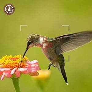 BLAZEVIDEO Game & Trail Camera 32MP Photo & 1296P Video with 100ft Night Vision Motion Activated 0.1s Trigger Speed Waterproof for Home Security, Outdoor Wildlife Scouting