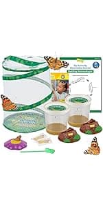 Insect Lore Butterfly Garden Kit – 10 Live Caterpillars, Habitat, STEM Journal, 2 Chrys-a-lid Holding Logs & Feeder – Grow & Release Painted Lady Butterflies – Educational Science Toy