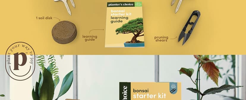 Bonsai Starter Kit - Gardening Easter Gift for Women & Men - Bonsai Tree Growing Garden Crafts Hobby Kits for Adults, Unique DIY Hobbies for Plant Lovers - Unusual Christmas Gifts Ideas