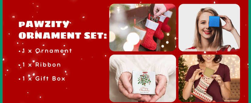 Pawzity Wedding Gifts - Mr and Mrs Gifts - Wedding Gift for Couples 2025, Bride - First Christmas Married Ornament 2025 - Bridal Shower Bride Gift for Newlywed - Wood Married Ornament