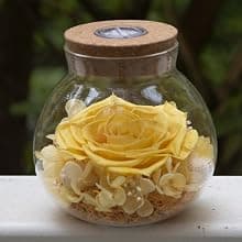 Preserved Real Roses with Colorful Mood Light Wishing Bottle, Eternal Rose,Never Withered Flowers, Table Decor,Christmas Anniversary Valentine's, Blue 4.3inch, 1pcs B07DT2GBT2