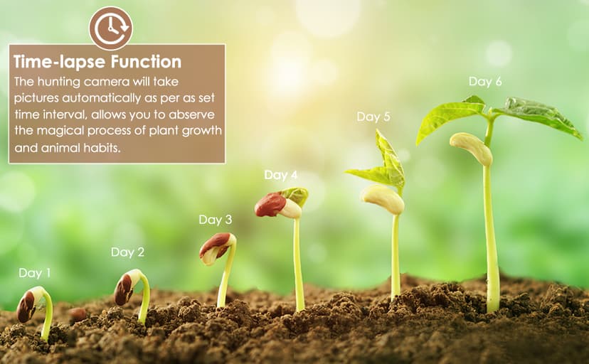 BLAZEVIDEO Game & Trail Camera 32MP Photo & 1296P Video with 100ft Night Vision Motion Activated 0.1s Trigger Speed Waterproof for Home Security, Outdoor Wildlife Scouting