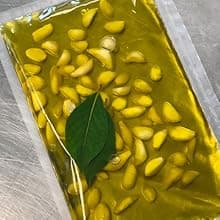 VacMaster VP210 Maintenance-Free Chamber Vacuum Sealer with 10.25” seal bar