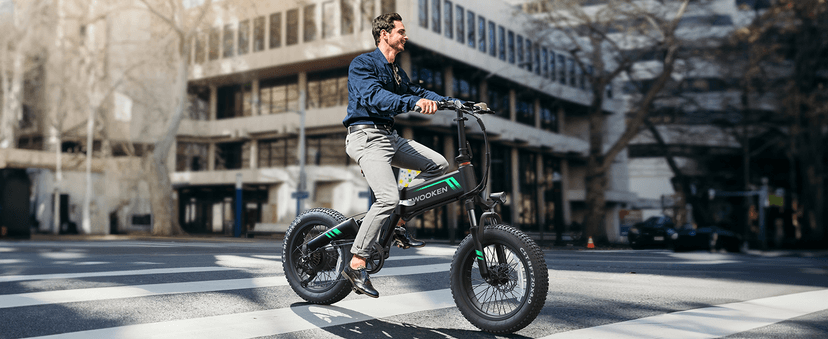TotGuard Electric Bike,20" Electric Bike for Adults Peak 750W Brushless Motor,20MPH Fat Tire Ebike,Foldable Adult Electric Bicycles with 48V 10Ah Removable Battery,7-Speed,SGS Certified to UL 2849