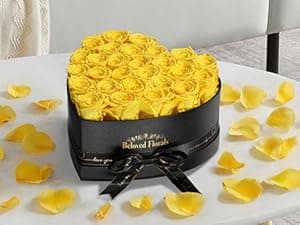 16 Preserved Flowers Rose in a Box, Gifts for Women Mom Her Wife on Mothers Day Valentines Birthday Christmas Anniversary Romantic(Red)