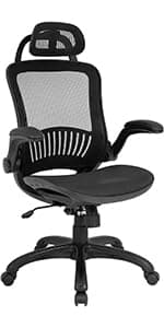 PayLessHere Home Office Chair Desk Computer Chair Adjustable Ergonomic Lumbar Support Armrest Executive with High Density Mesh 360 Degree Swivel Chair for Men Women Adults, Black
