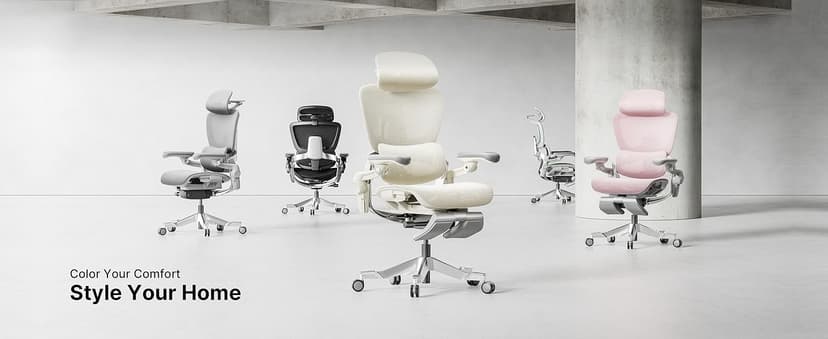 HINOMI H2 Pro Premium Ergonomic Office Chair - Comfy Home Office Desk Computer Chair with Adjustable Back Support, Swivel Wheels, Flip-up Arms, Comfortable Mesh Seat for Desk Work (Gray)