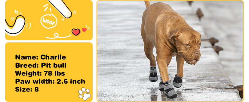 Hcpet Dog Shoes, Dog Boots & Paw Protectors for Winter Snowy Days, Rainy Weather, Outdoor Anti-Slip Sole Dog Booties for Hardwood Floor Black-Leg 1