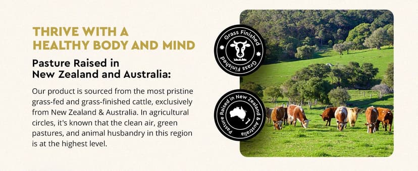 Ancestral Supplements Ancestral Supplements Mofo, Supplements for Men, Support for Energy Levels and Overall Men's Health and Wellness, Non-GMO Grass Fed Beef Organ Supplement with Liver, No Fillers, 180 Capsules