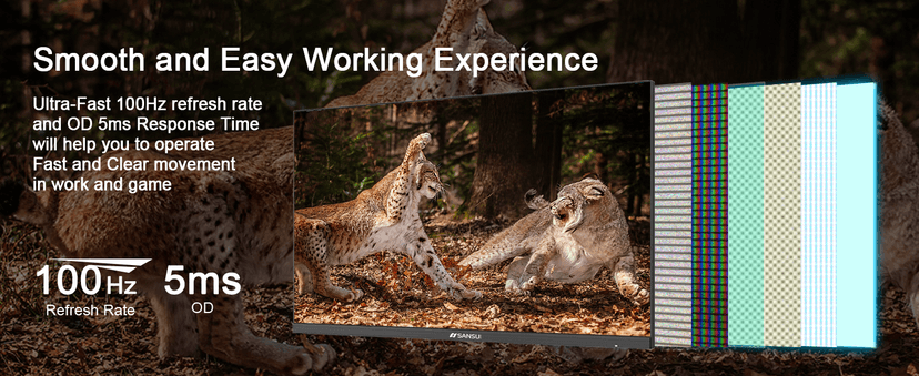 SANSUI Monitor 24 Inch 100Hz PC Monitor, HDMI VGA Ports VESA Mount, FHD Computer Monitor Ultra-Slim Ergonomic Tilt Eye Care for Home Office (ES-24F2, HDMI Cable Included)