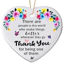 Sister Christmas Ornaments 2025,Sister Ornament for Christmas Tree,Best Sister Gifts,Friends Ornaments for Women,Friendship Gift for My Sister