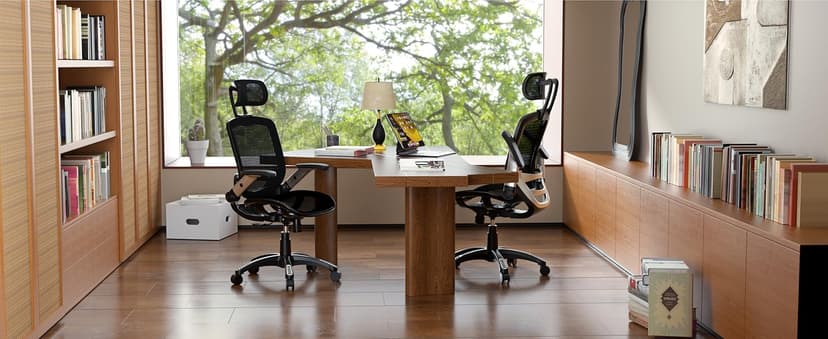 GABRYLLY Ergonomic Office Chair, High Back Home Desk Chair with Headrest, Flip-Up Arms, 90-120° Tilt Lock and Wide Cushion, Big and Tall Mesh Chairs for Man Woman, Black Task Chair