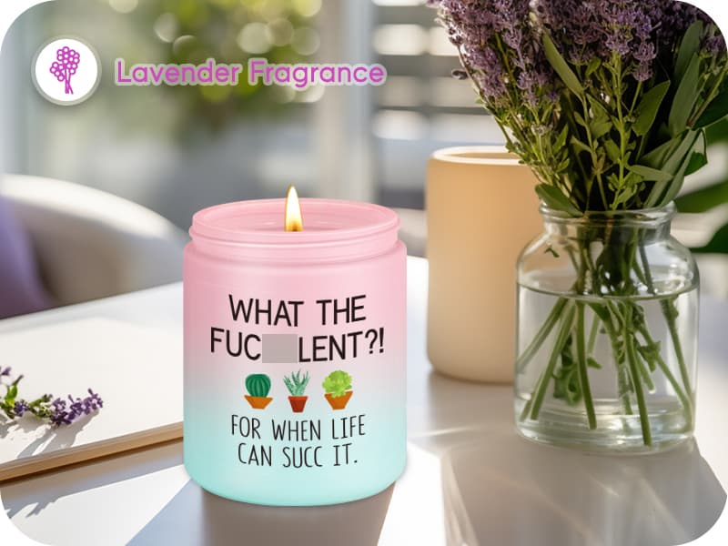 Pick Me up, Break up Gifts for Women Her, Funny Birthday Christmas Cool Gifts for Plant Lovers Mom Lady Friend Wife Miracu Succulent Candle, Get Well, Cheer up, Plant Lover Gifts for Women B0BJ2RSYBB