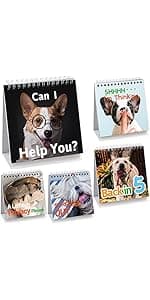 Fancy Land Funny Desk Signs 30 Different Fun and Flip-Over Messages for Office Desk Accessories