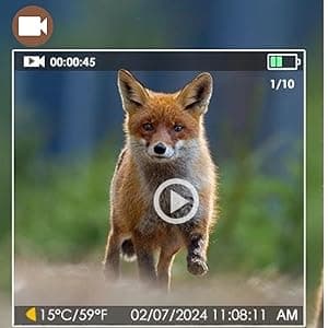 BLAZEVIDEO Game & Trail Camera 32MP Photo & 1296P Video with 100ft Night Vision Motion Activated 0.1s Trigger Speed Waterproof for Home Security, Outdoor Wildlife Scouting