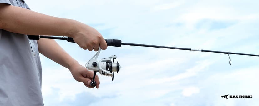 KastKing Crixus Fishing Rods,IM6 Graphite Spinning Rod & Casting Rod W/Zirconium Oxide Ring Stainless Steel Guides, SuperPolymer Handle
