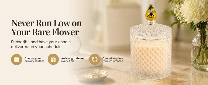 Decorative Soy Candles Birthday Gifts for Women, Elegant Glass Jar, 14.8oz, 80Hr Long Lasting Burn, Luxury Candles for Women VIONAMI Queen of The Night Rare Flower Fragrance Luxury Scented Candle Gift B0FBMNBQ3D
