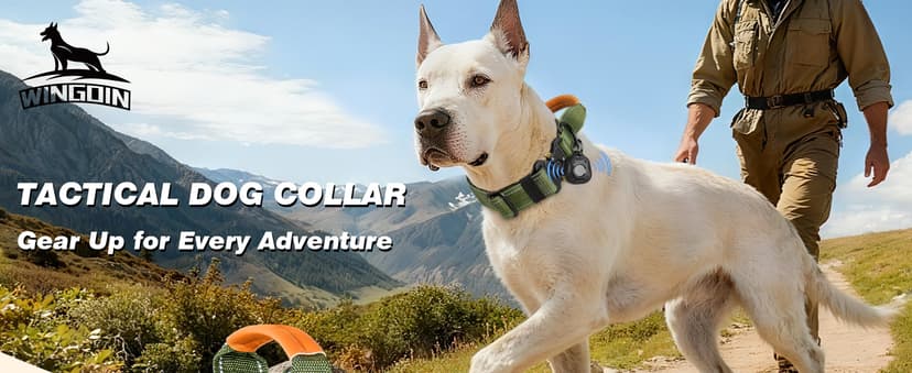 WINGOIN Tactical Dog Collar with AirTag Holder, Heavy Duty Reflective Padded Nylon Collar for Large Dogs, Quick Release Metal Buckle, Dogcollar for Training Walking Hunting, IPX5 Waterproof, Green,L