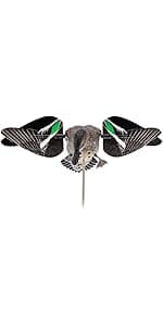 Avian-X Powerflight Smart Motion Mallard Spinning Wing Duck Decoy, Ideal for Hunting, Outdoor, Wasp, Deer, Bee Deterrent, Fake Call, Animal Scare