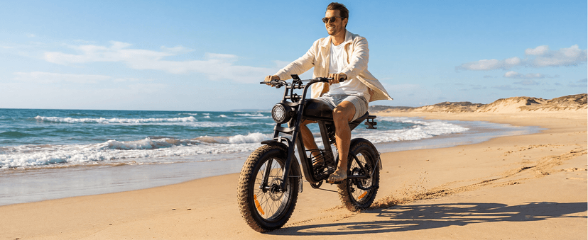 Electric Bike for Adults, 1000W/1500W/3000W Dirt Bike, 30/34/37MPH, 48V 15 Ah/18.9Ah/25Ah e Bike, 40/47/100 Miles Electric Motorcycle, 20" Fat Tire Off-Road Bike, All Terrain Electric Bike