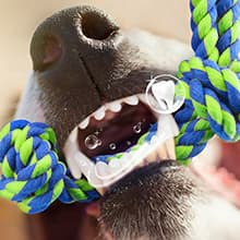 Feeko Heavy Duty Dog Rope Toys for Large Breed Aggressive Chewers, 2 Pack Indestructible Teeth Cleaning Tug of War Toy