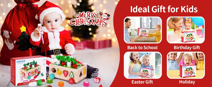 Toddlers Montessori Wooden Educational Toys for Baby Boys Girls Age 1 2 3 Year Old, Shape Sorting Toys 1st One First Birthday Girl Gifts for Kids 1-3, Wood Preschool Learning Fine Motor Skills Game