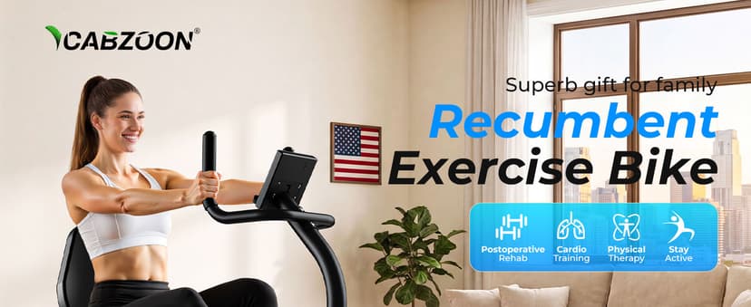 Recumbent Exercise Bike for Home Heavy-Duty Stationary Bike For Seniors Bicycle Exercise Machine Bicycle LCD Monitor,265LBS,8 Level Resistance Black