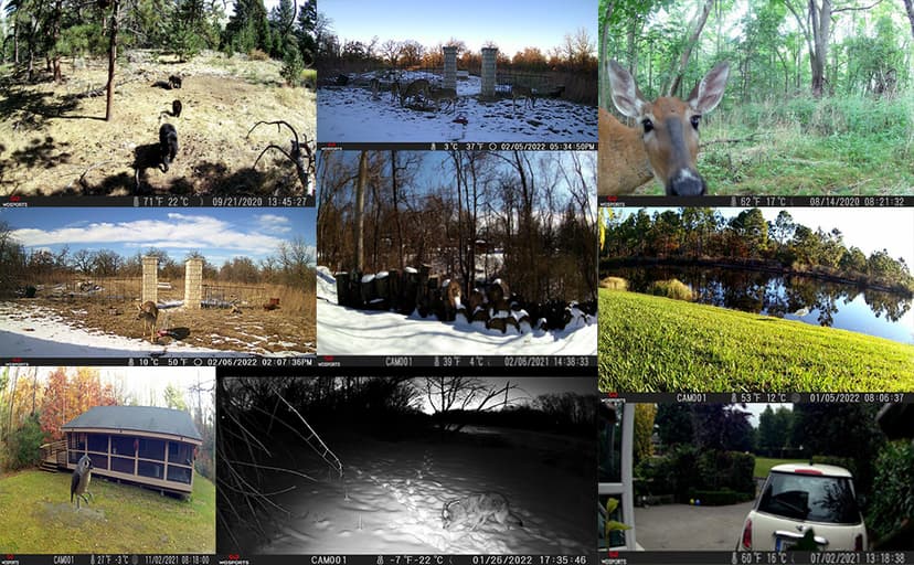 WOSPORTS Mini Trail Camera,24MP 1080P HD Game Camera Motion Activated with IR Night Vision Waterproof Video Deer Cam for Outdoor Wildlife Monitoring