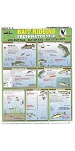 Ice Fishing Chart #14 - Waterproof Quick Reference Fishing Guide - (Rigs, Baits, Safety & Techniques) - Double-Sided & Easy to Read - Great Gift for Beginners