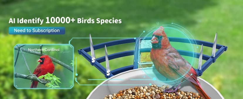 Smart Bird Feeder with Camera Solar Powered & AI Bi rd Identification, 2.4Ghz WiFi Bird feeders for Outdoors, 2K Live Video, Nstant Arrival Alerts - Gifts for Women