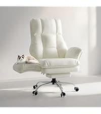 Big and Tall Office Chair, Flip Armrests for Pets & Cross Legged Sitting, Executive Ergonomic Computer Gaming Chair with Foot Rest, Teddy Fleece Wide Seat Reclining Desk Chair, White Vanity Chair