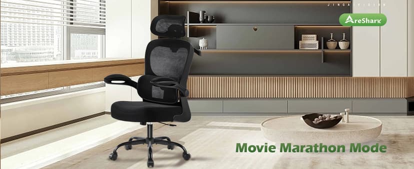 AreShark Office Chair Ergonomic Desk Chairs with Adjustable Lumbar Support& Headrest Hanger, High Back Breathable Mesh Chair with Wheels, Rolling Swivel Comfy Task Computer Chair for Home Work Gaming