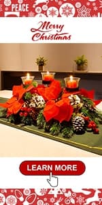 Juegoal Christmas Plush Gnomes, 9 Inch Lighted Handmade Mini gnome Scandinavian, Light Up Swedish Tomte Elf Holiday Present, Battery Operated Xmas Gifts Table Ornaments Dinner Party Supplies, Set of 3