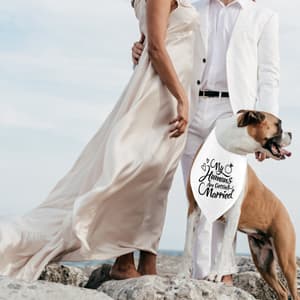 Engagement Gift, My Humans are Getting Married Dog Bandana, Wedding Photo Prop, Pet Scarf, Dog Engagement Announcement, Pet Accessories (Black) B09FDTW997