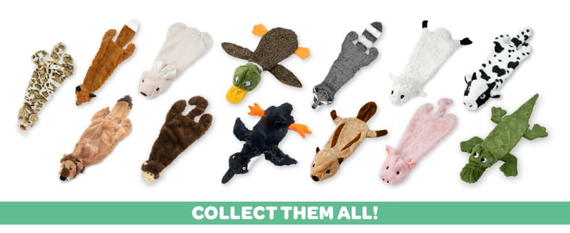 Best Pet Supplies 2-in-1 Stuffless Squeaky Dog Toys with Soft, Durable Fabric for Small, Medium, and Large Pets, No Stuffing for Indoor Play, Supports Active Biting and Play - 1Wild Duck, Small