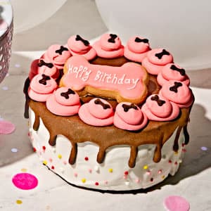 Thoughtfully Pets, Blue Dog Birthday Cookie Gift Set, Hand Decorated Crunchy Dog Treats in Bone Shapes, Great for Birthdays, Set of 8