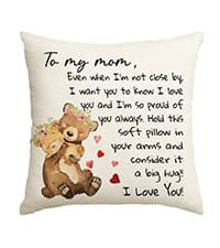 AVOIN colorlife to My Sister Throw Pillow Cover, 18 x 18 Inch Christmas Sister's Gift Lady Girls Birthday Cushion Case from Sister Brother