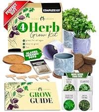 Bonsai Tree Kit - Gifts for Men & Women - Grow 4 Bonsai Trees - Unique Gardening Crafts for Adults, DIY Hobbies for Plant Lovers & Gardeners - Unusual Christmas Gift Ideas for Mom & Dad