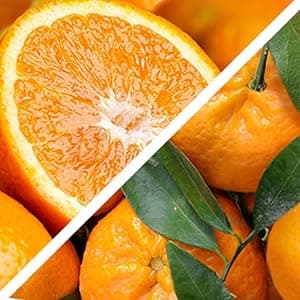 Holiday Chocolate, Nuts & Fresh Fruit Gift Basket